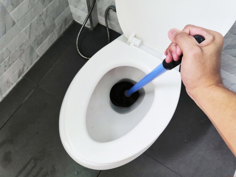 Toilet Plunging
