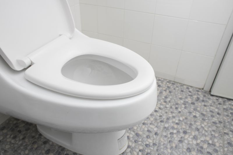 Toilet Replacement
