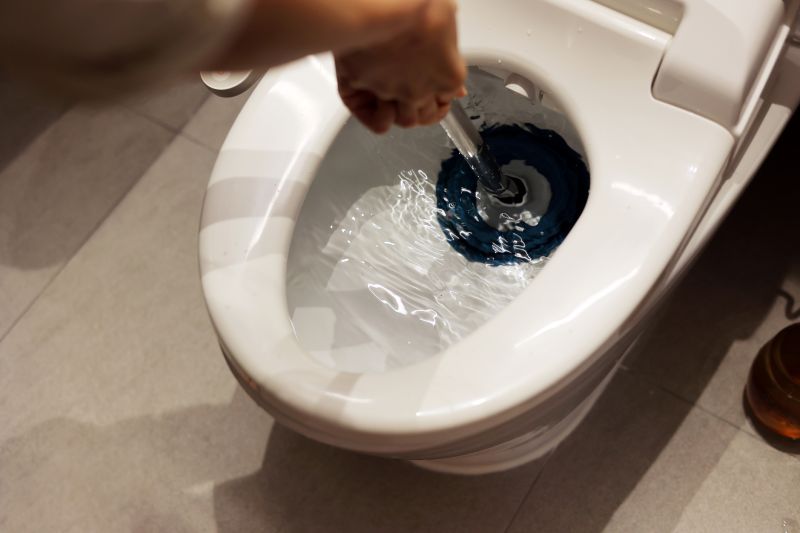Toilet Snaking